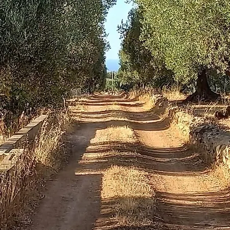 Il Trullo Dei Tamburroni *